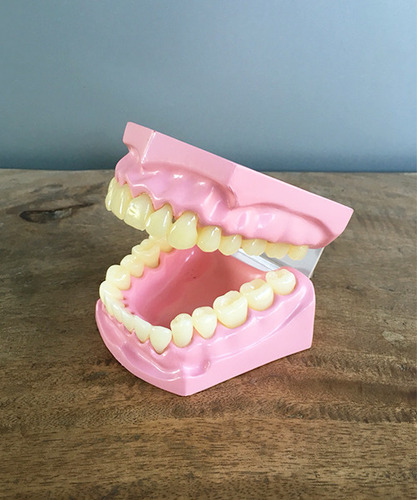 치아모형02-2909
