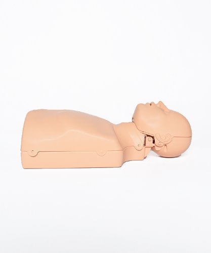 심폐소생실습모형(CPR)-7642